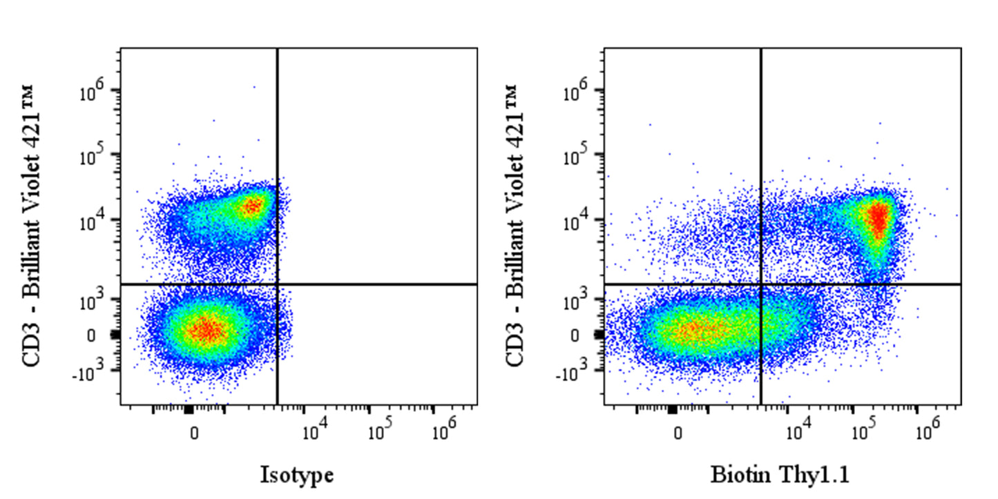 Biotin Mouse Anti-Mouse Thy1.1 (CD90.1) Antibody (S-3781)