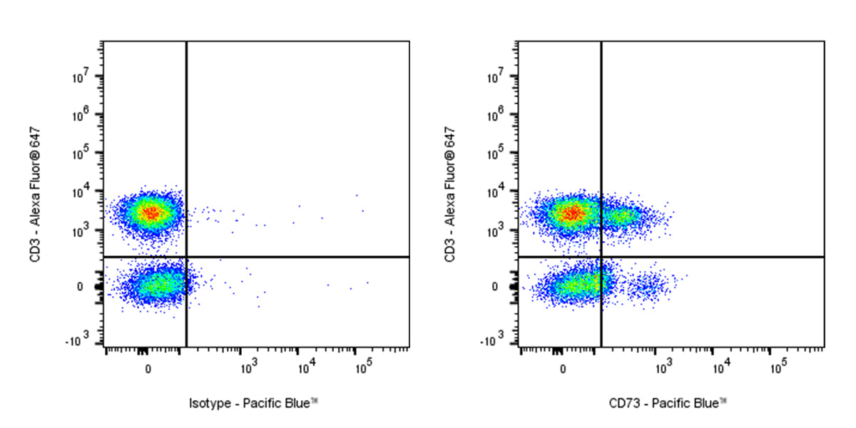 Pacific Blue Mouse Anti-Human CD73 Antibody (S-715-115)