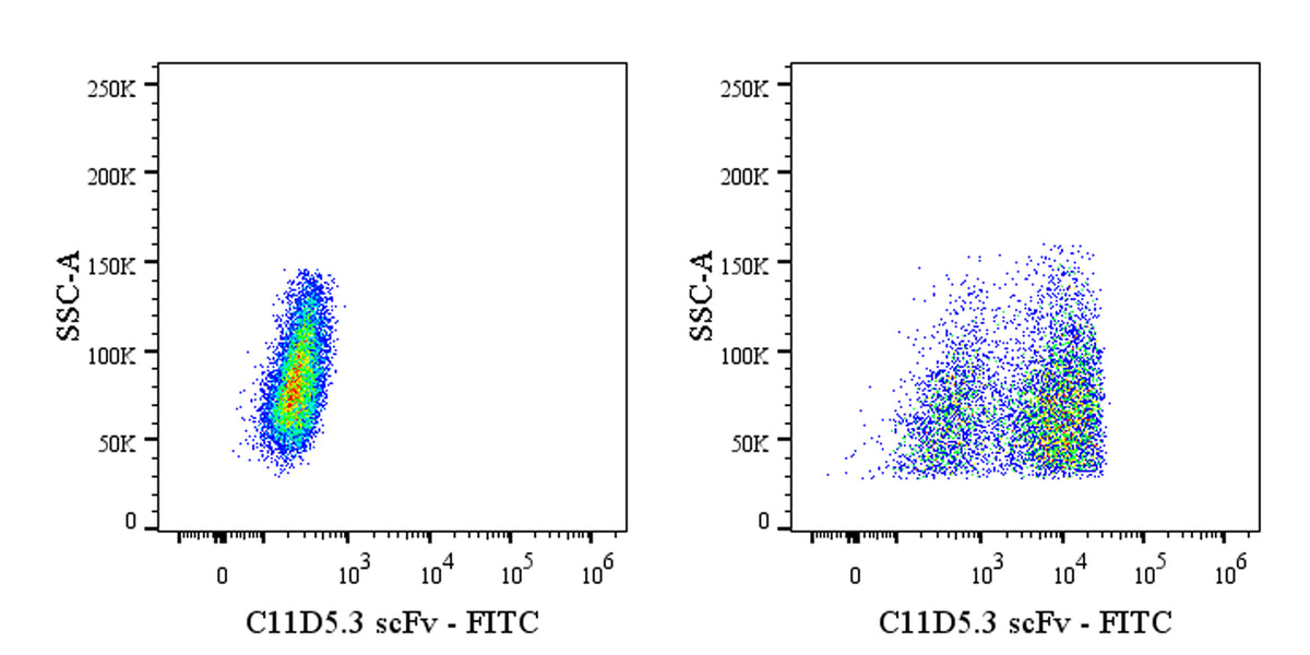 Anti-Mouse C11D5.3 scFv (Anti-BCMA CAR-T) Recombinant Rabbit mAb (FITC Conjugate) (S-5414)