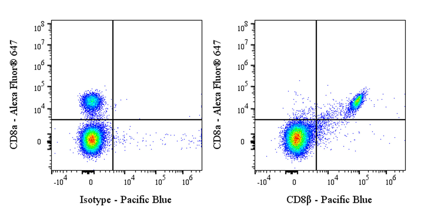 Pacific Blue Rat Anti-Mouse CD8β Antibody (53-5.8)
