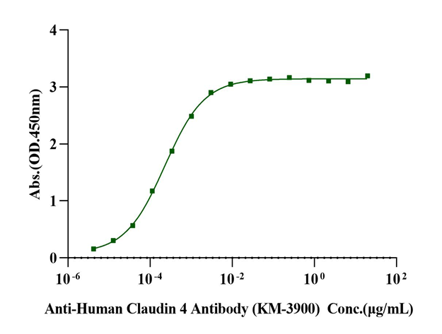 Claudin-4 His Tag Full Length Protein, Human (Detergent)