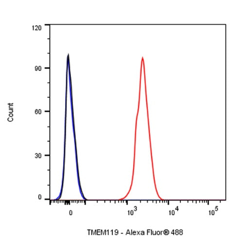 TMEM119 Recombinant Rabbit mAb (S-1040-14)