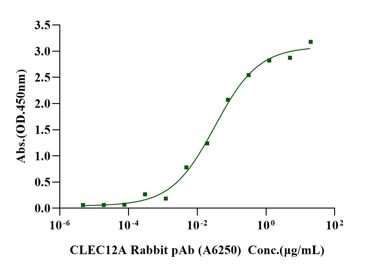 Biotinylated CLEC12A/MICL/CLL-1 Avi&Fc Tag Protein, Human