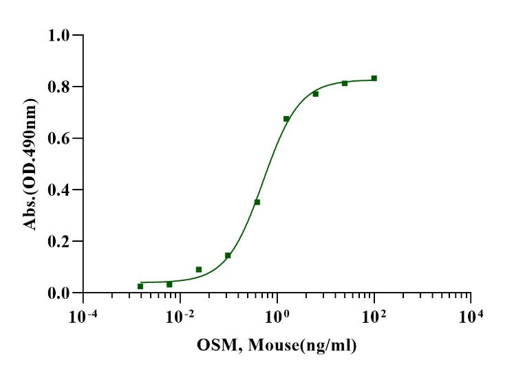 OSM Protein, Mouse