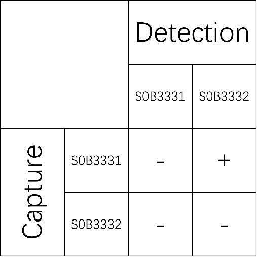 α-Synuclein Recombinant Rabbit mAb (SDT-441-180)
