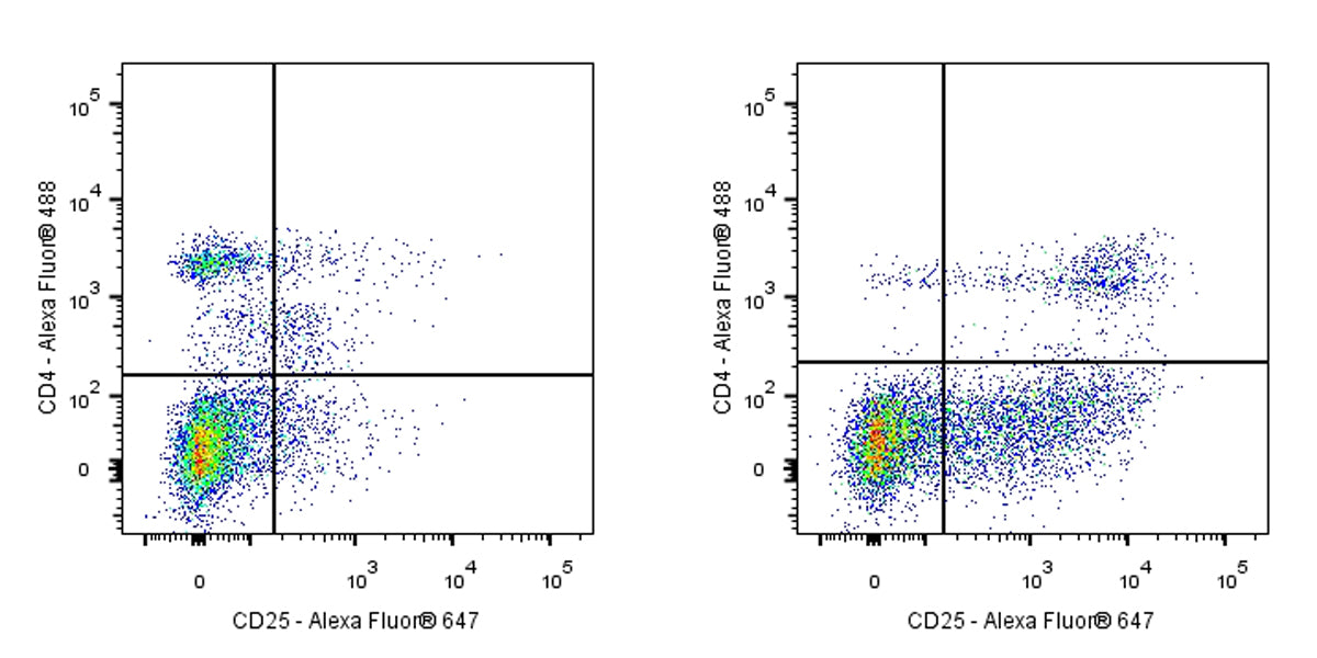 Mouse Anti-Rat CD25 Antibody (OX-39)