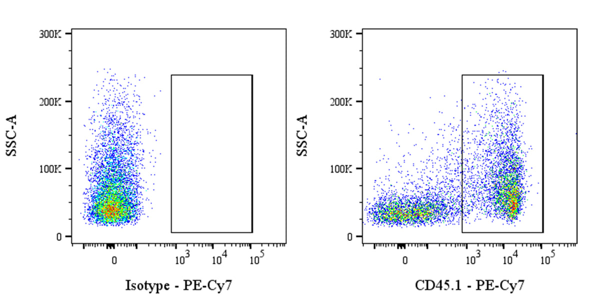 PE-Cy7 Mouse Anti-Mouse CD45.1 Antibody (A20)