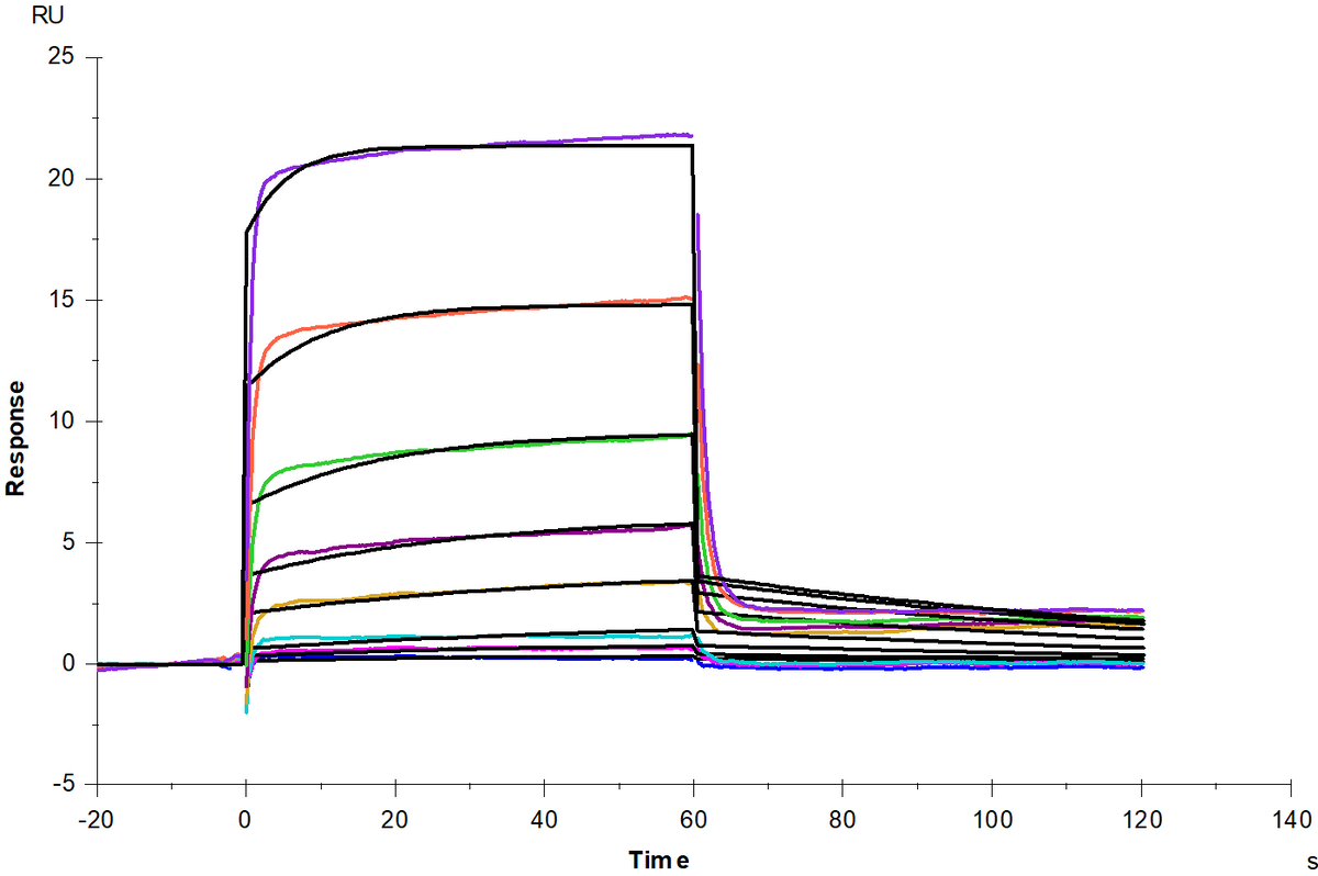 Biotinylated IFN-alpha/beta R1 His&Avi Tag Protein, Human