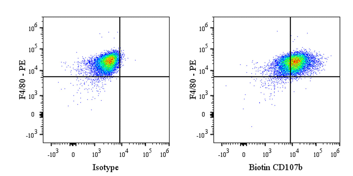 Biotin Rat Anti-Mouse CD107b Antibody (M3/84)