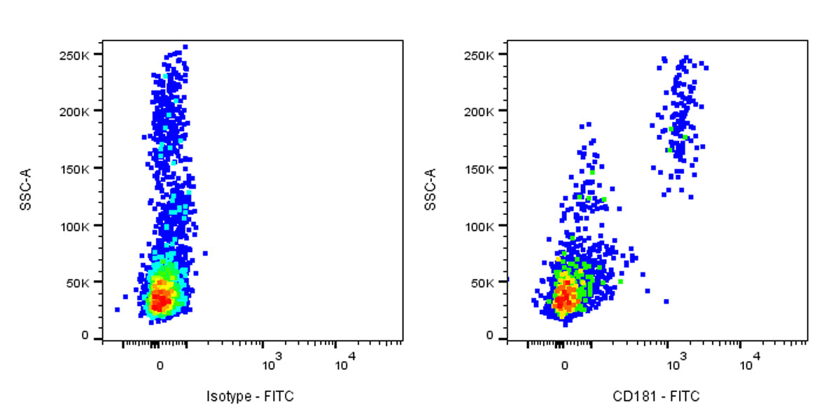 FITC Mouse Anti-Human CD181 Antibody (S-3490)