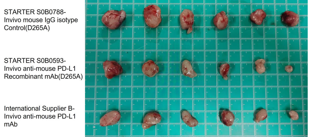 Invivo anti-mouse PD-L1 Recombinant mAb (D265A)