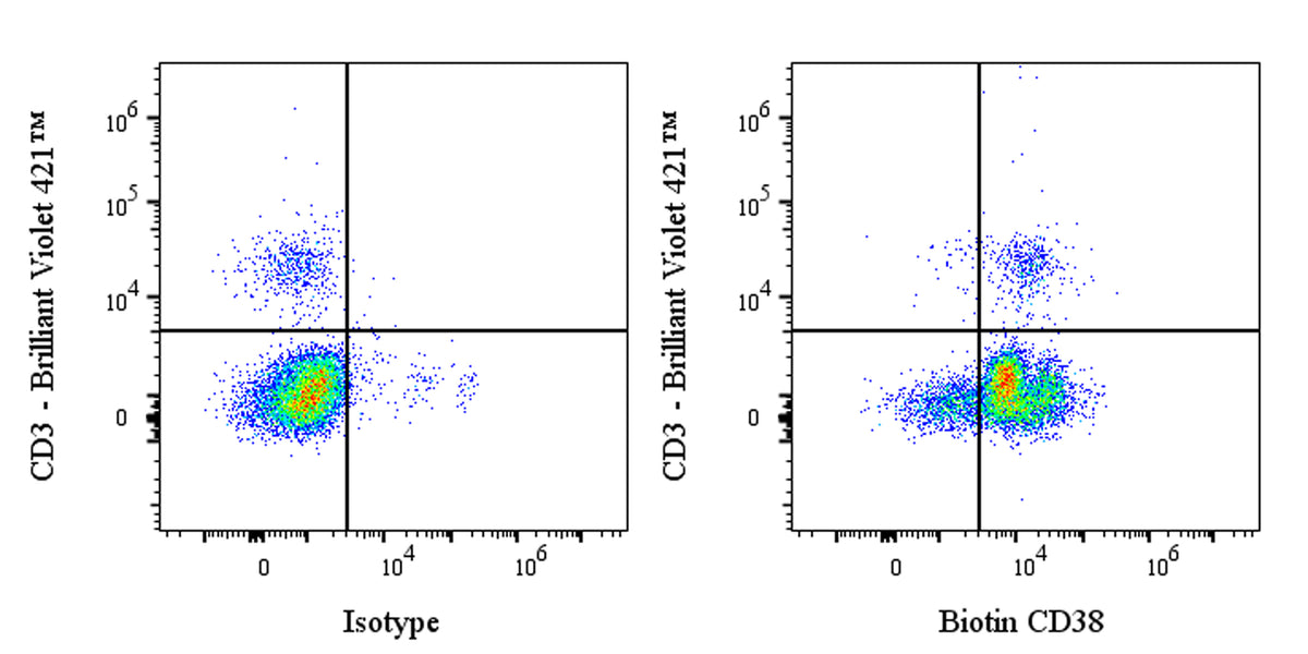 Biotin Mouse Anti-Human CD38 Antibody (S-1966-20)
