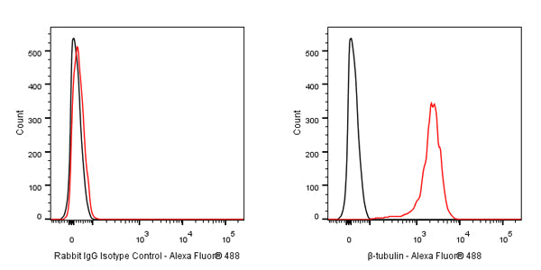 Alexa Fluor® 488 Rabbit IgG Isotype Control Antibody (S-R058)