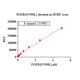 Product image media