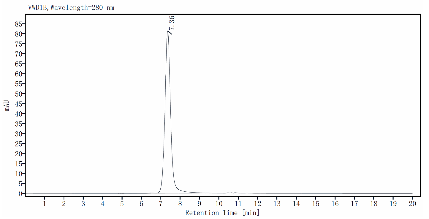 Coagulation factor XI/FXI His Tag Protein, Human