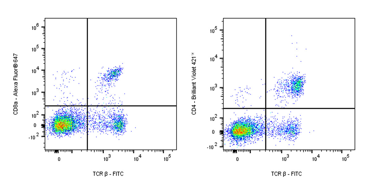 FITC Armenian hamster Anti-Mouse TCR β Antibody (H57-597)