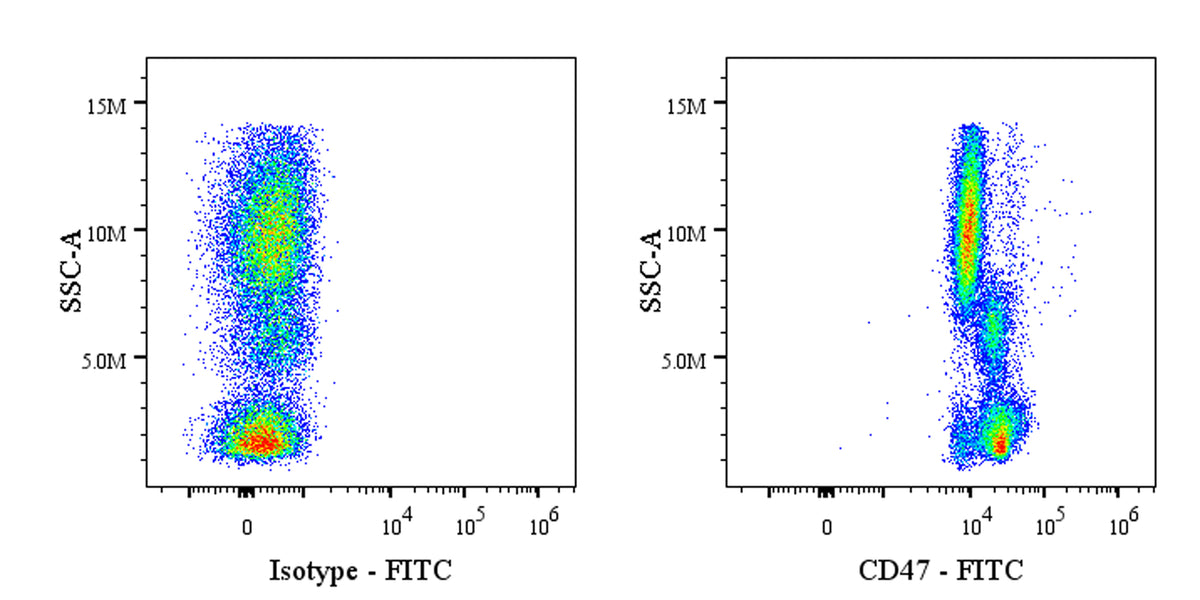 FITC Mouse Anti-Human CD47 Antibody (S-3383)