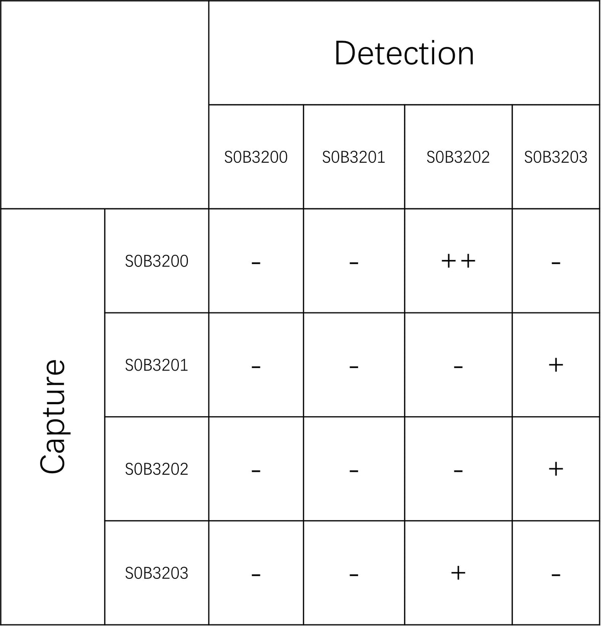 Feline Immunodeficiency Virus (FIV p24) Recombinant Rabbit mAb (SDT-562-98)
