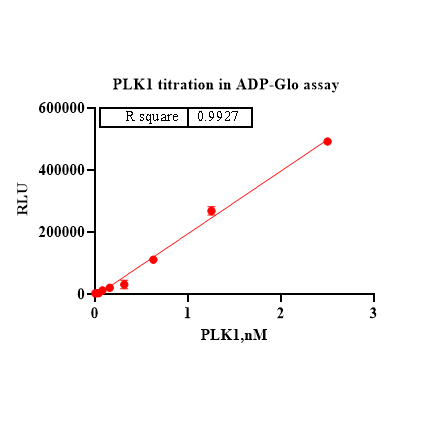 Product image media