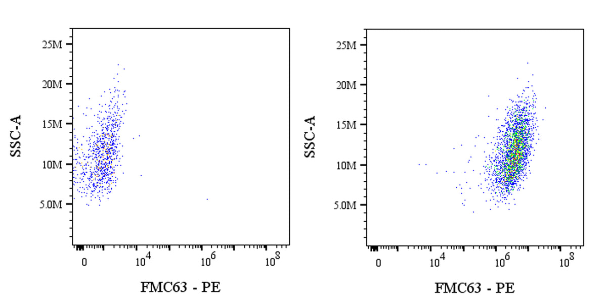 FMC63 Recombinant Mouse mAb (PE Conjugate) (S-5031)
