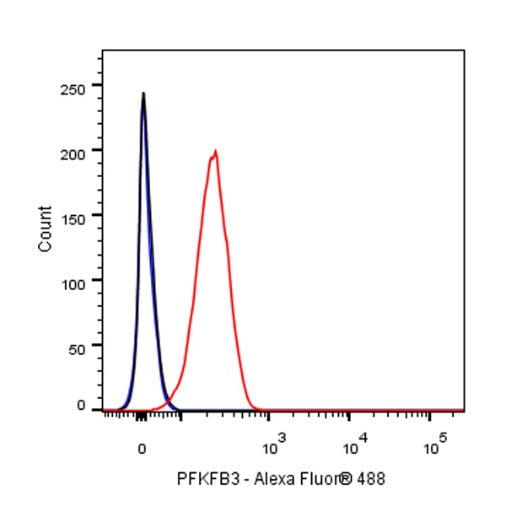 PFKFB3 Recombinant Rabbit mAb (S-653-35)