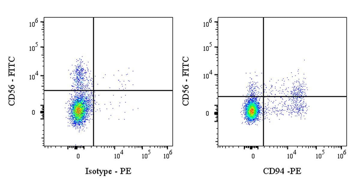 PE Rabbit Anti-Human CD94 Antibody (S-2616-17)