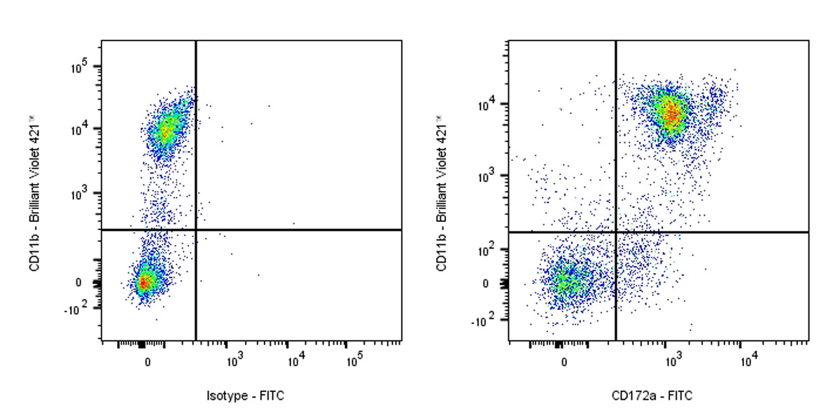 FITC Rat Anti-Mouse CD172a (SIRPα) Antibody (S-R713)