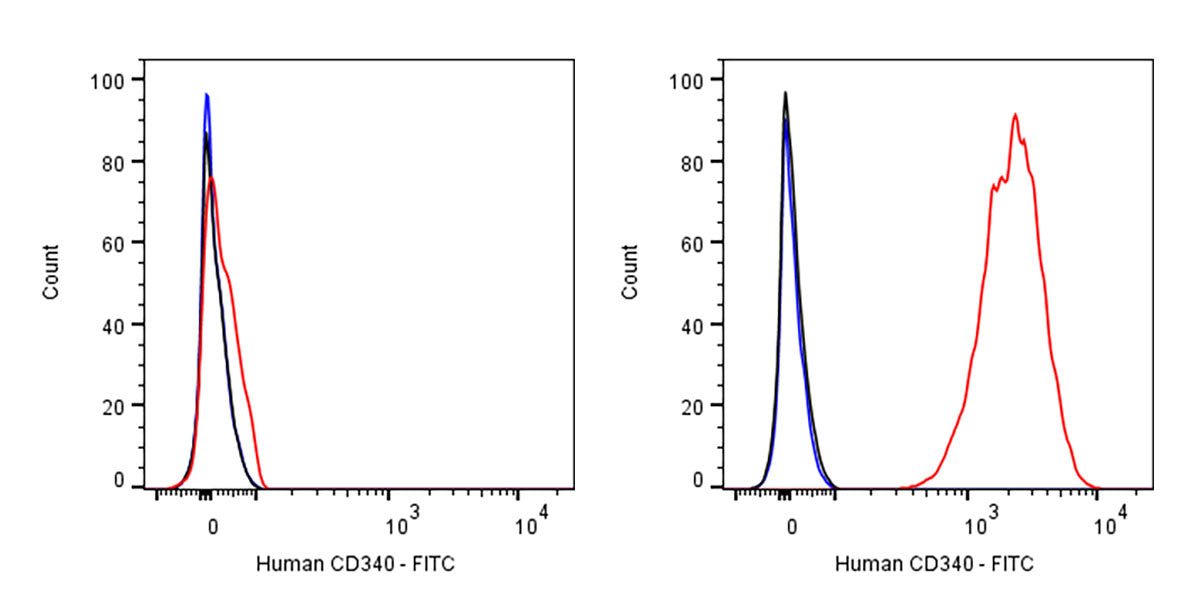 FITC Mouse Anti-Human CD340 Antibody (S-3018)