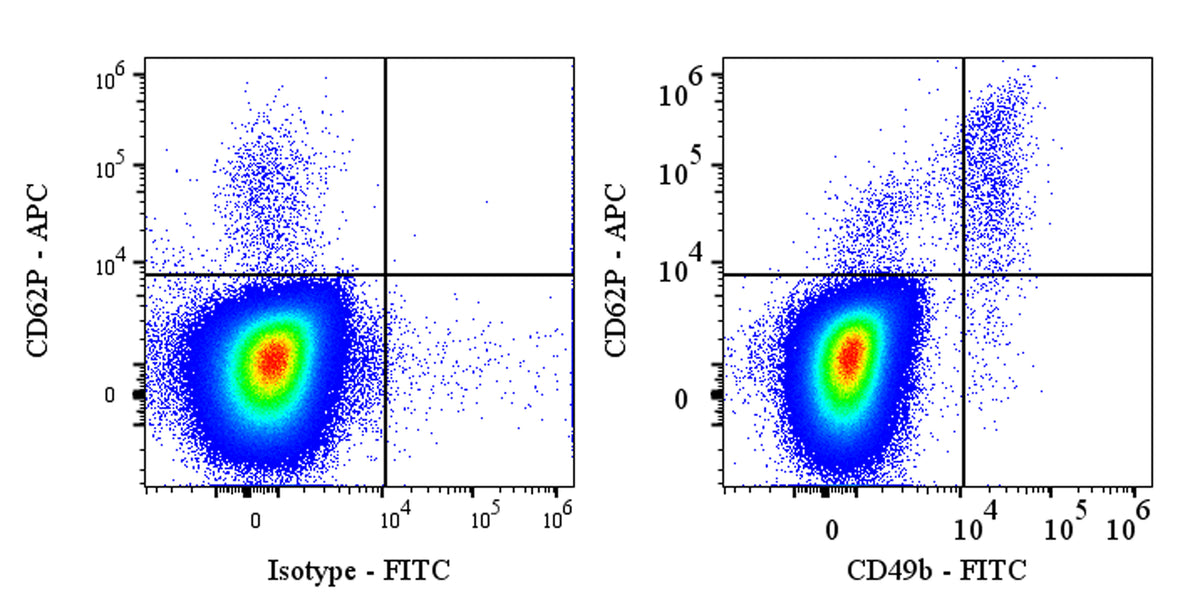 FITC Mouse Anti-Human CD49b Antibody (AK-7)