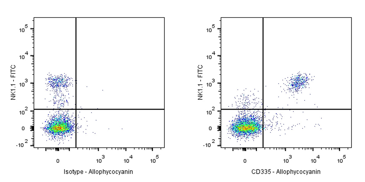 APC Rat Anti-Mouse CD335 Antibody (S-R613)