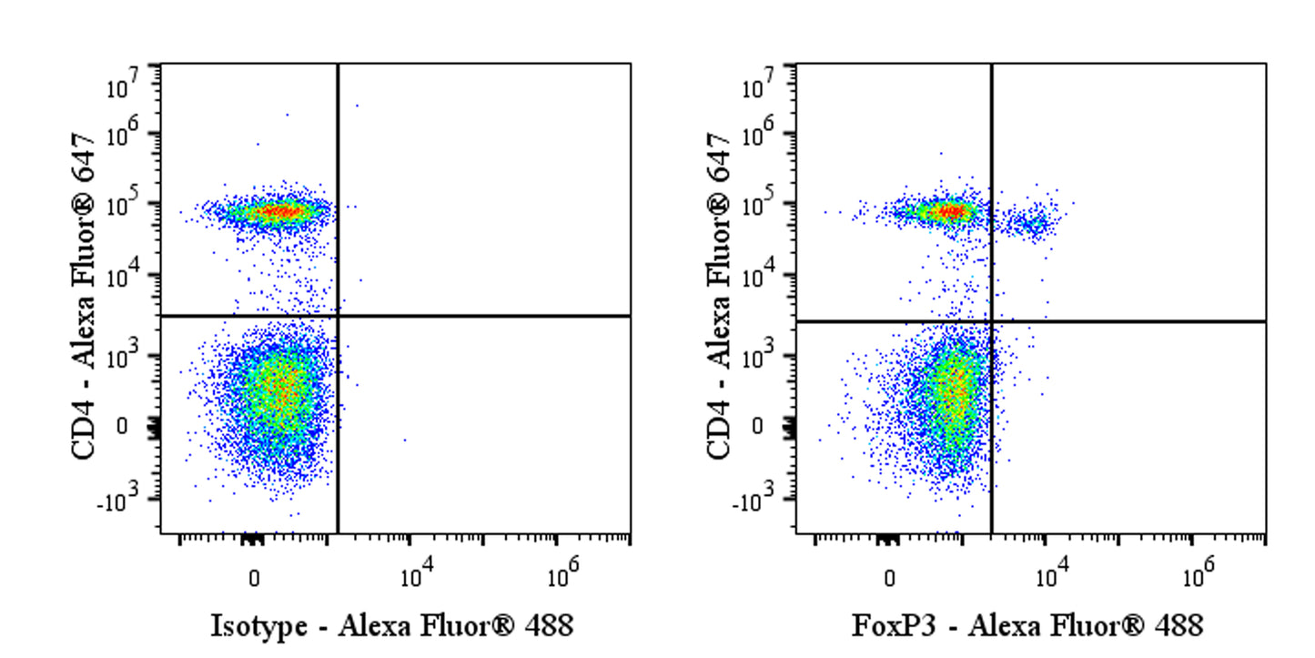 Alexa Fluor® 488 Rat Anti-Mouse FOXP3 Antibody (MF23)