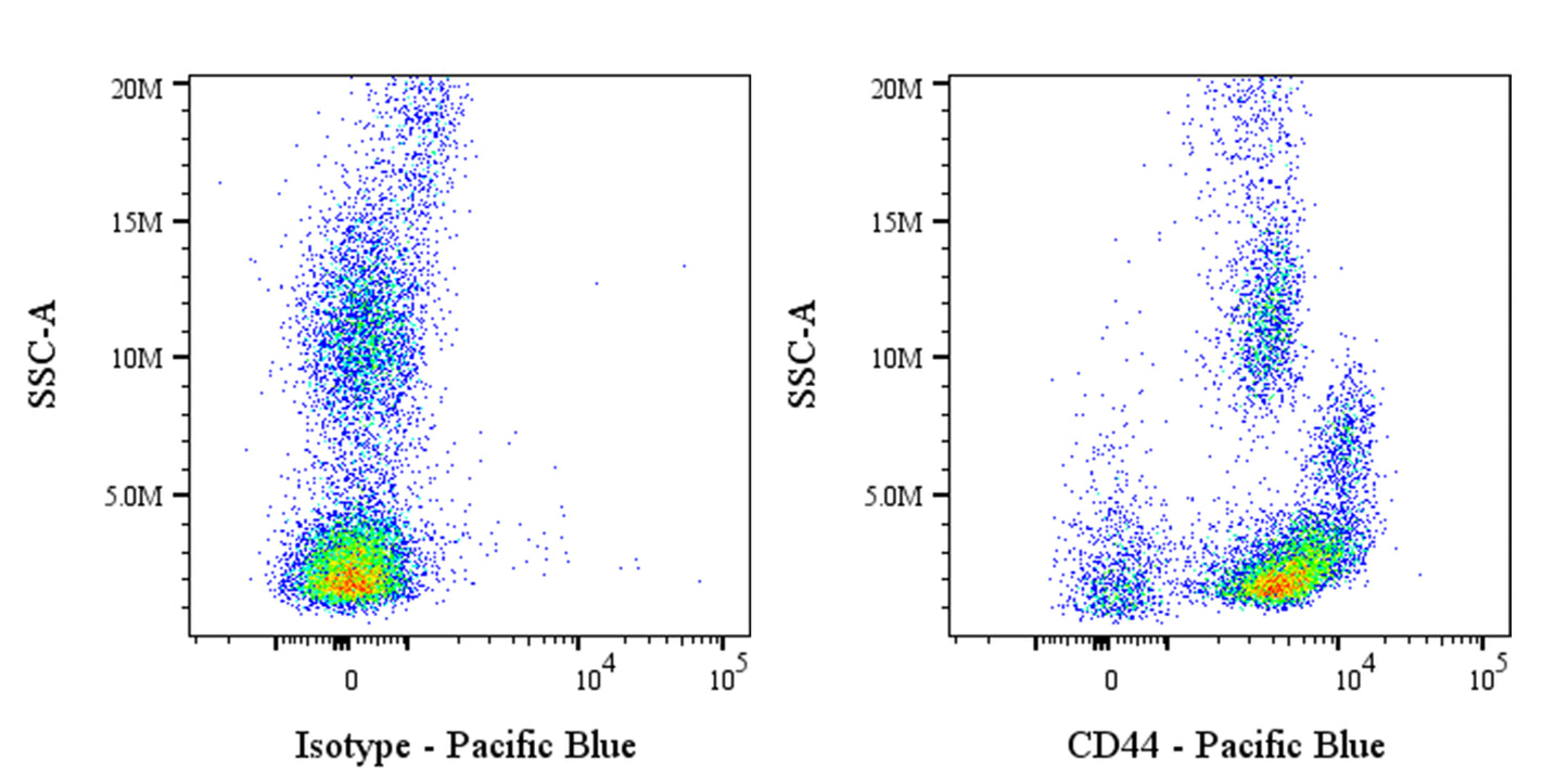 Pacific Blue Rat Anti-Mouse/Human CD44 Antibody (IM7)