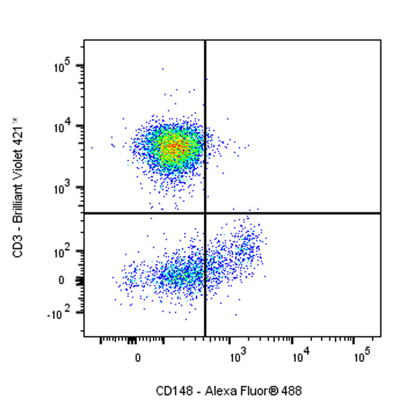 Mouse Anti-Human CD148 Antibody (S-3121)