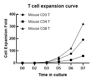 T Cell Activation/Expansion Kit, mouse(RUO)