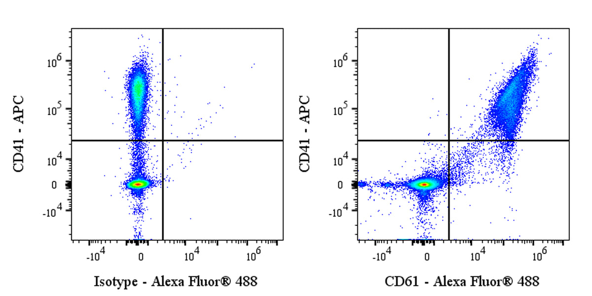Mouse Anti-Human CD61 Antibody (VI-PL2)