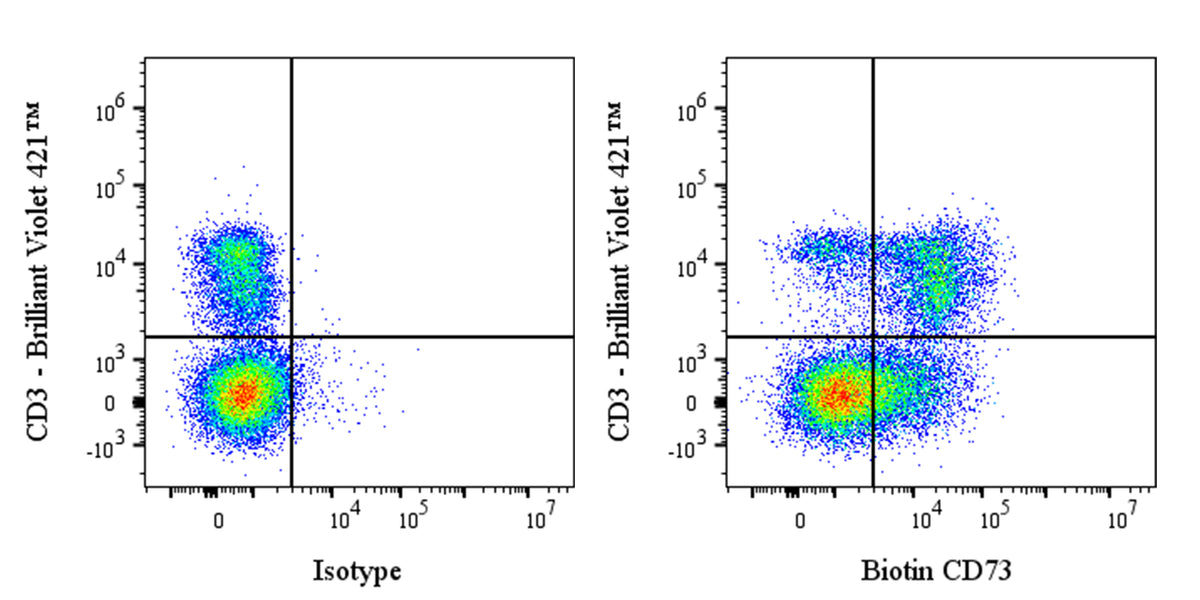 Biotin Rat Anti-Mouse CD73 Antibody (S-R636)