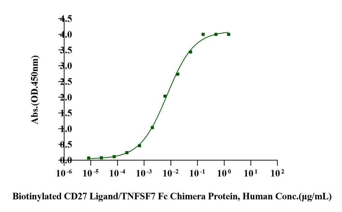 CD27 Fc Chimera Protein, Mouse