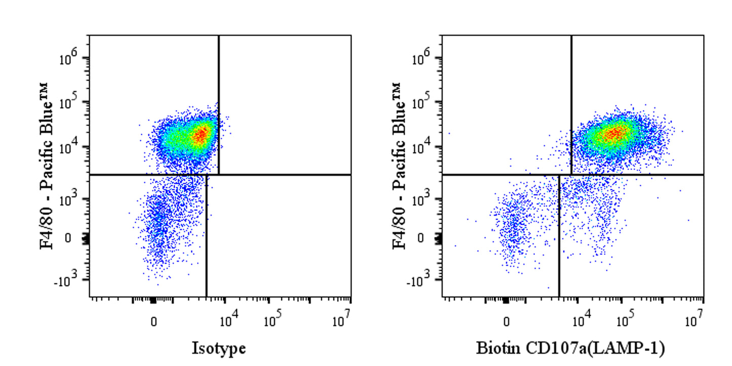 Biotin Rat Anti-Mouse CD107a Antibody (S-R668)