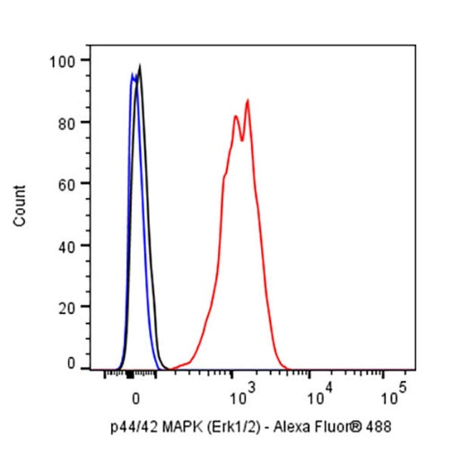 p44/42 MAPK (Erk1/2) Recombinant Rabbit mAb (S-3600)