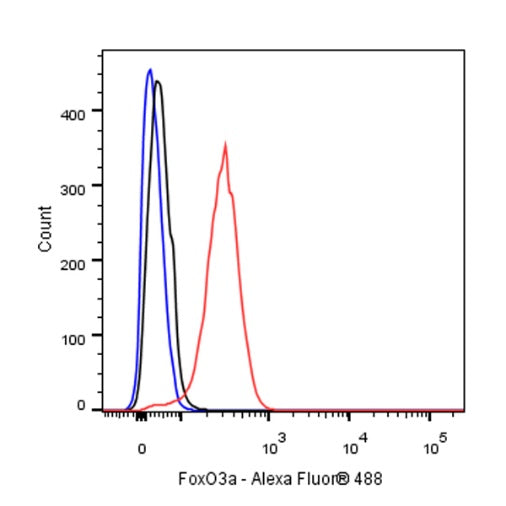 FoxO3a Recombinant Rabbit mAb (S-465-41)