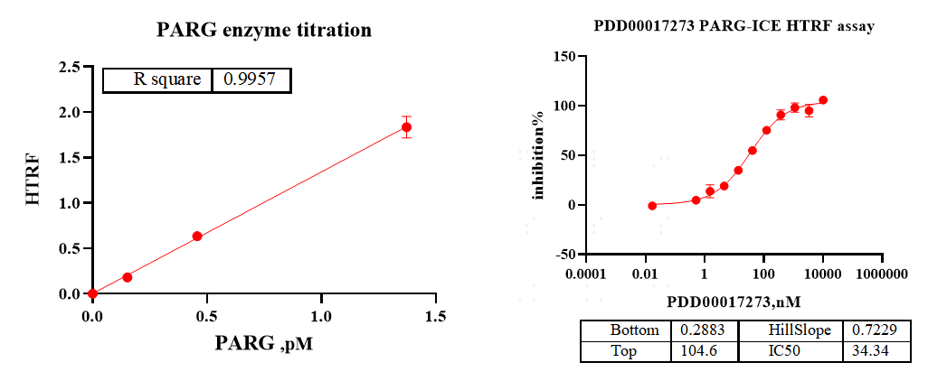 PARG His Tag Protein, Human