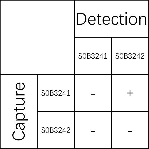 Thrombomodulin Recombinant Rabbit mAb (SDT-153-97)
