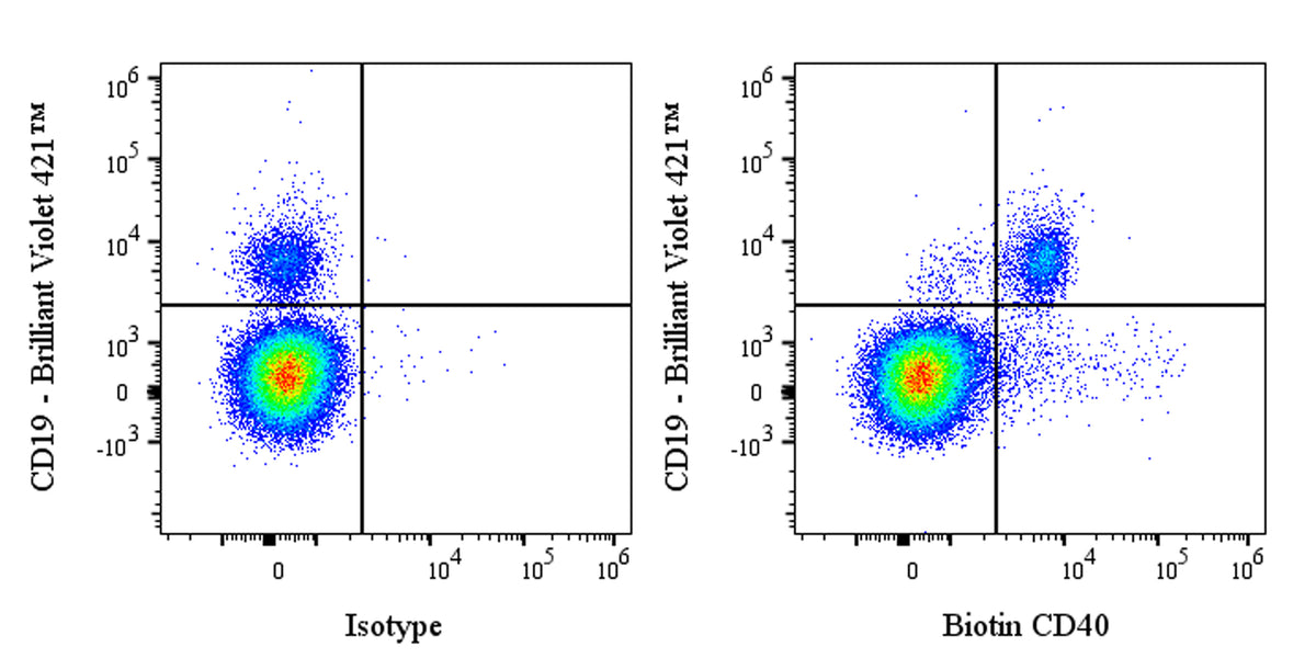 Biotin Mouse Anti-Human CD40 Antibody (S-R485)