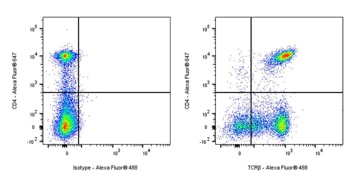 Alexa Fluor® 488 Armenian hamster Anti-Mouse TCR β Antibody (H57-597)