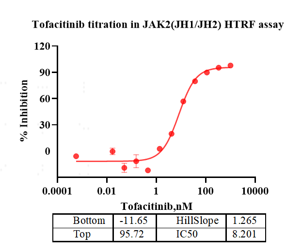 JAK2(JH1 JH2) Protein