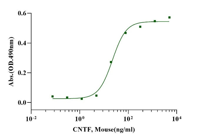 CNTF Protein, Mouse