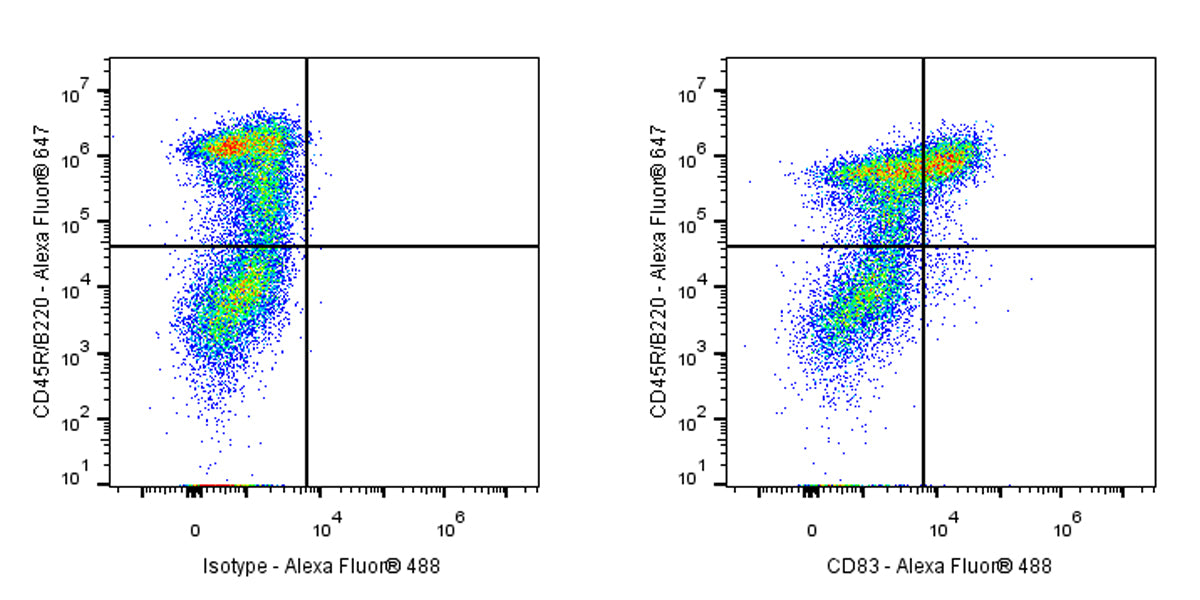 Alexa Fluor® 488 Rat Anti-Mouse CD83 Antibody (S-R522)