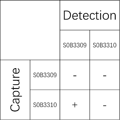 Thyroglobulin Recombinant Rabbit mAb (SDT-209-231)