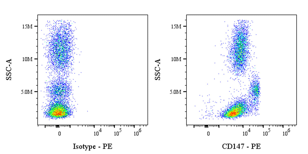 PE Mouse Anti-Human CD147 Antibody (S-2803)