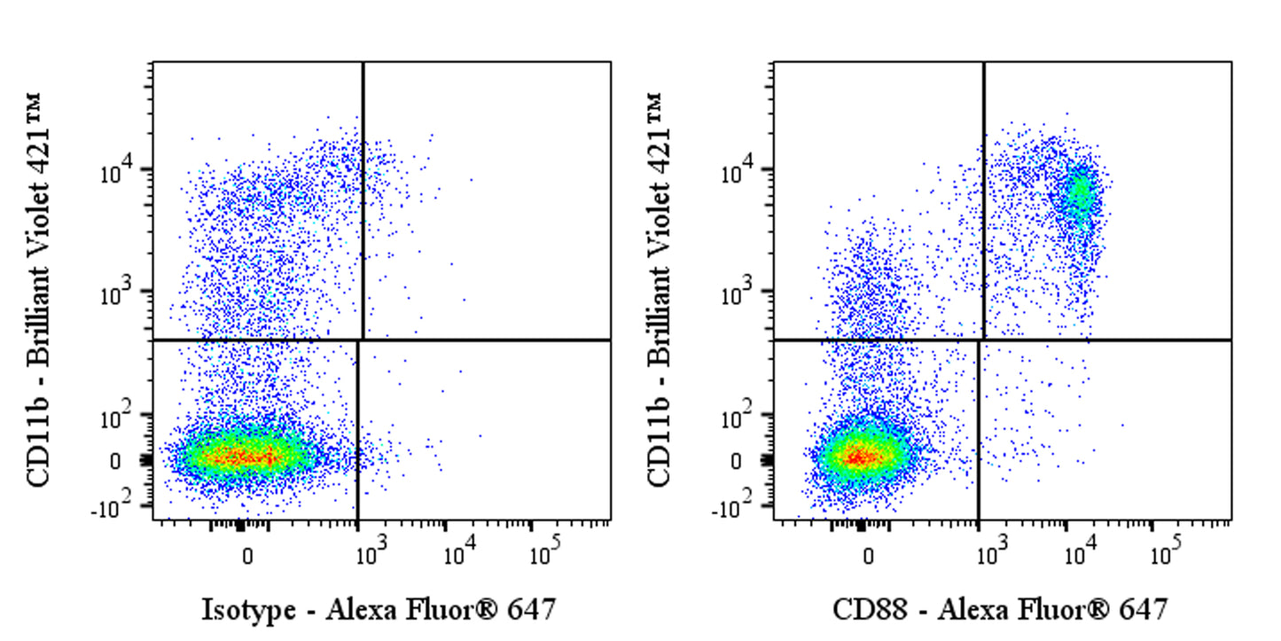 Alexa Fluor® 647 Rabbit Anti-Human CD88 Antibody (S-1921-43)